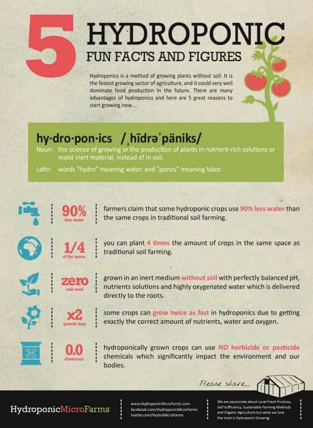 Hydroponic Workshop