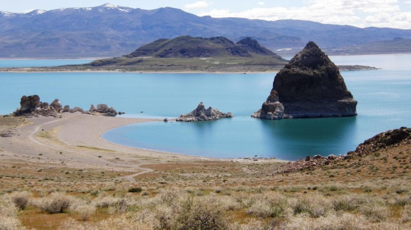 Expansive landscape representing Indigenous connection to land and traditional knowledge systems